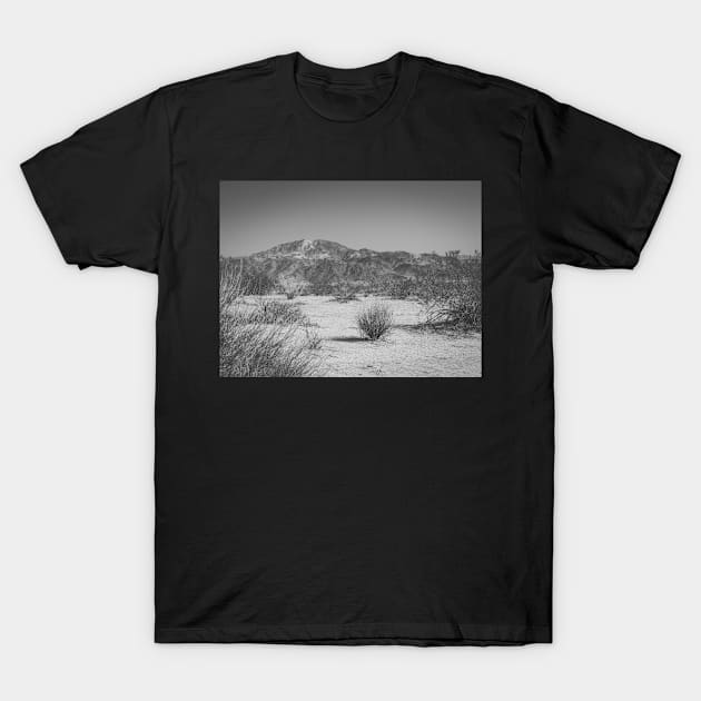 Photo of Western Wagon with Flowers arrangement V4 T-Shirt by Family journey with God